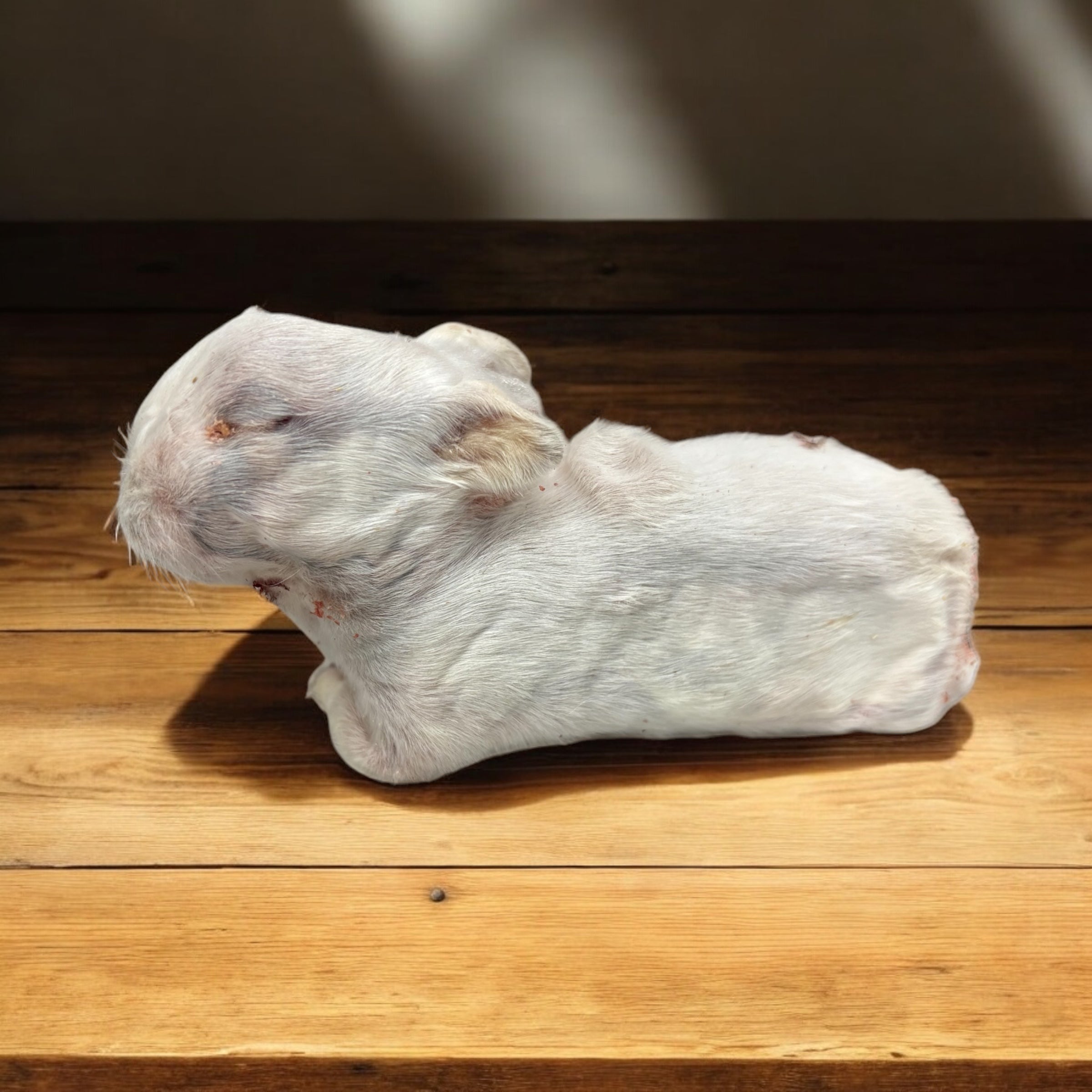 Freeze Dried Full Rabbit Kit