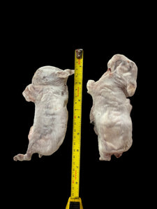 Freeze Dried Full Rabbit Kit