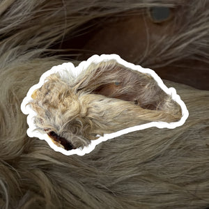 Furry Cow Ear