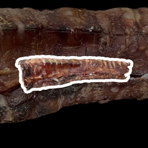 Medium Beef Trachea (8-10”)
