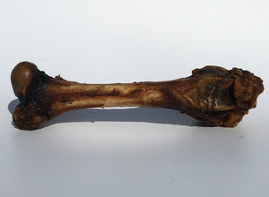 Smoked Lamb Femur