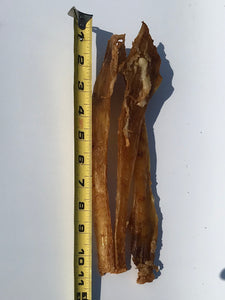 Small Dehydrated Tendons (9-12")