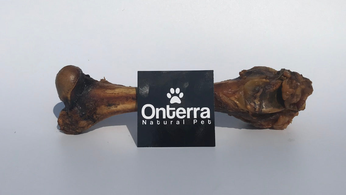 Lamb femur for clearance dogs